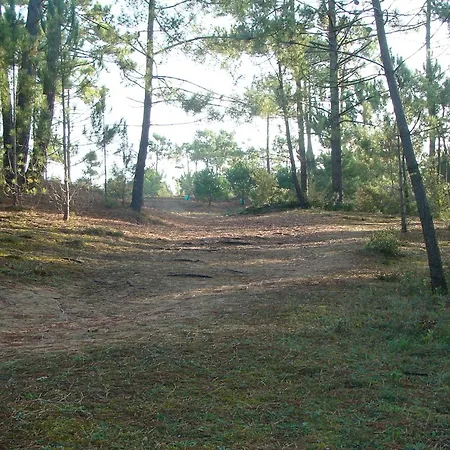 Apartament Bel 2 Chambres, Terrasse, Proche - Fr-1-323-491 Saint-Jean-de-Monts