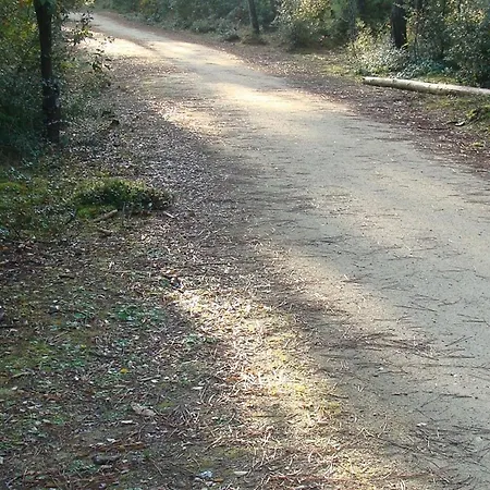 Bel 2 Chambres, Terrasse, Proche - Fr-1-323-491