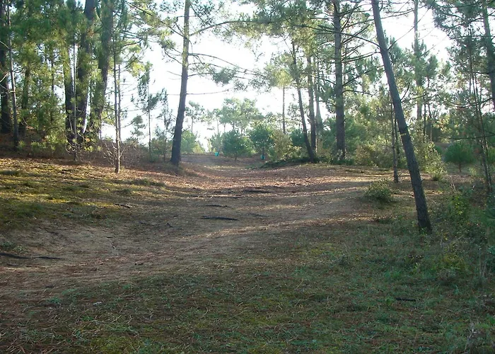 דירה Bel 2 Chambres, Terrasse, Proche - Fr-1-323-491 סן ז'אן דה מון