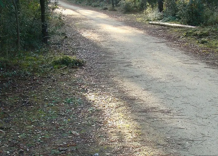 Bel 2 Chambres, Terrasse, Proche - Fr-1-323-491